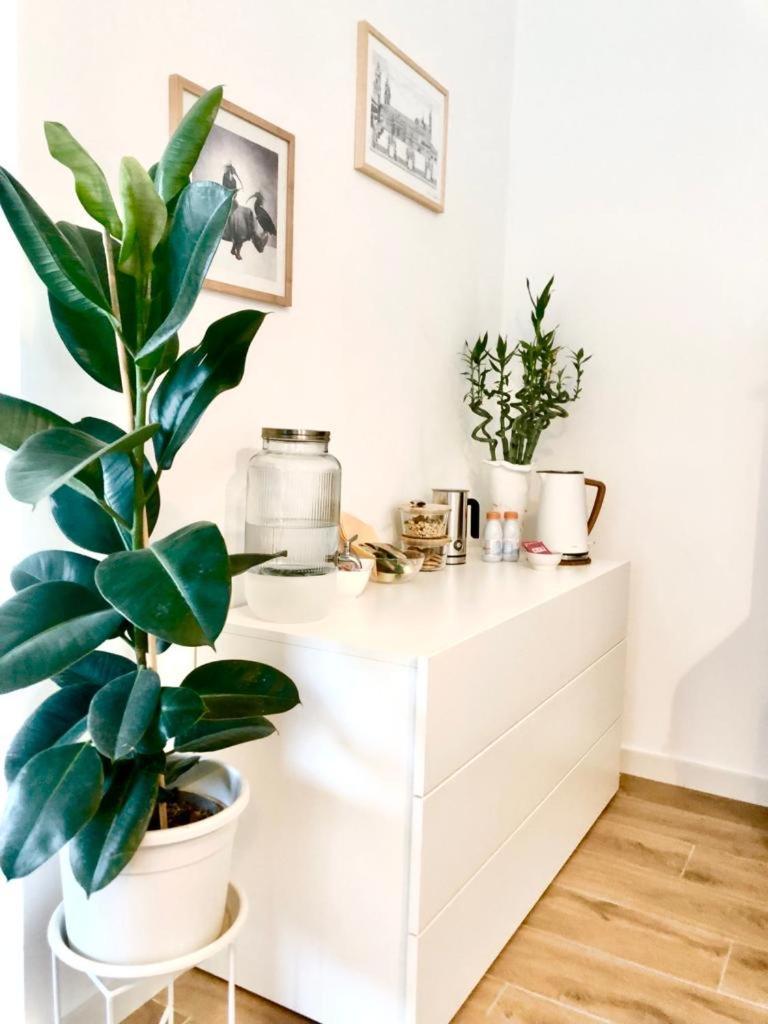 Stanza E Bagno Privato, Idromassaggio Con Extra Fee, In Appartamento Ferrara Exterior foto
